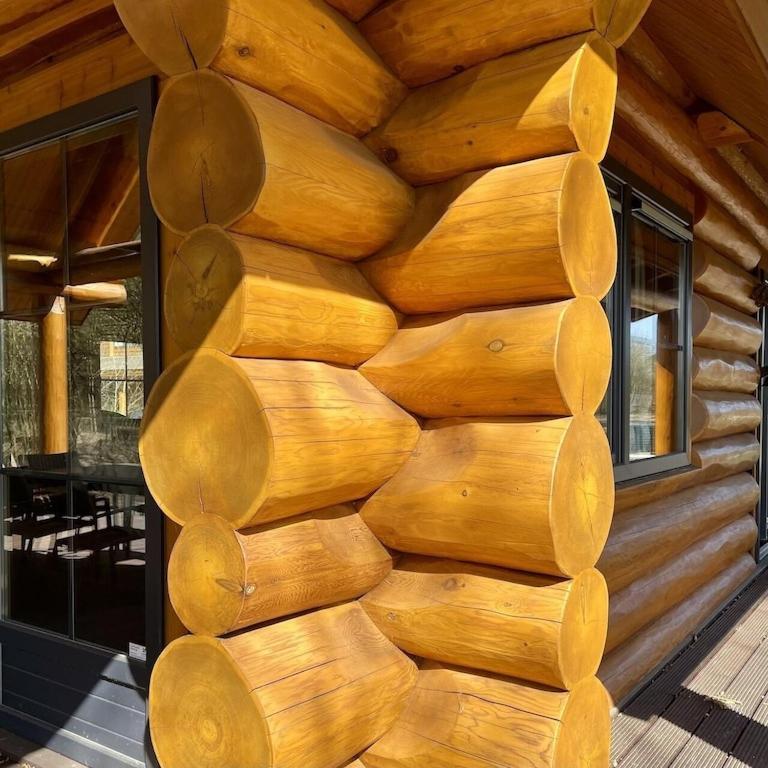 Unieke Houten Villa Met Sauna In Twente - 5P Den Ham Экстерьер фото